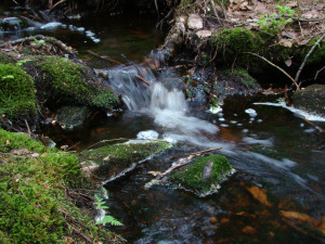 DSC01469